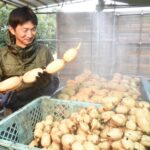 “祭り”に向かう若きレンコン農家　　新規就農して８年目の小城（こじょう）さん（茨城・行方市）