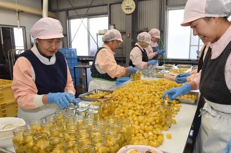 新年に「福」呼ぶ甘露煮づくりピーク  　小田喜（おだぎ）商店（茨城・笠間市）