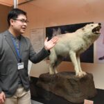 夜のいきもの展　市立博物館～オオカミのはく製など～（茨城・水戸市）