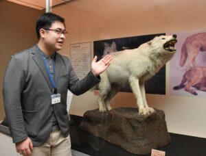 夜のいきもの展　市立博物館～オオカミのはく製など～（茨城・水戸市）