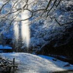 ひたちなか市写真連盟展　那珂湊支所展示室で７日から（茨城・ひたちなか市）