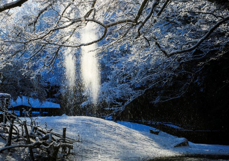 ひたちなか市写真連盟展　那珂湊支所展示室で７日から（茨城・ひたちなか市）