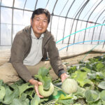 まもなく初メロン（茨城・茨城町）